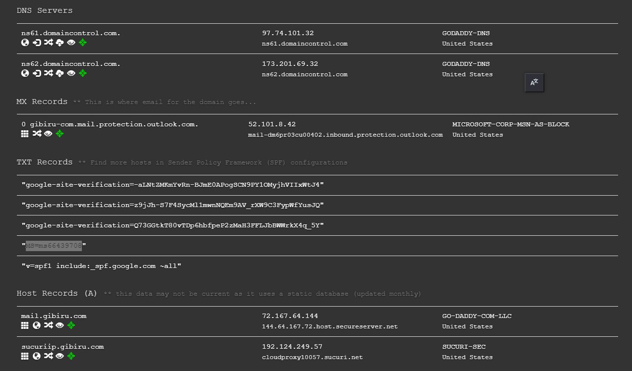 Gibiru DNS Setup.